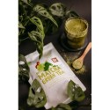 Bio Zielona Herbata Matcha Proszek 100 g