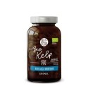 Bio Kelp Algi Morskie 41 g - 120 tabl.